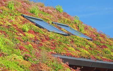 Farmoor living roof systems
